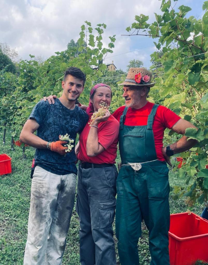 Agriturismo Le Noci Villa Tarzo Eksteriør billede